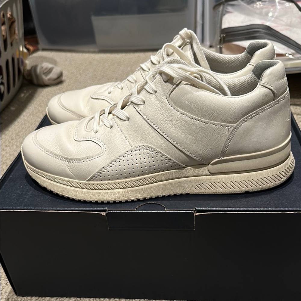 Everlane Trainer Sneaker for Men (off-white)